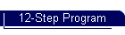 12-Step Program