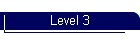 Level 3