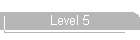 Level 5